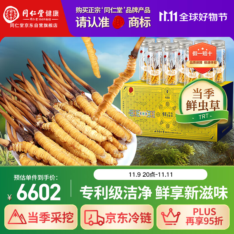 同仁堂（TRT）品牌 新鲜虫草0.61-0.8克/条100条装冬虫夏草青海源头直发包邮