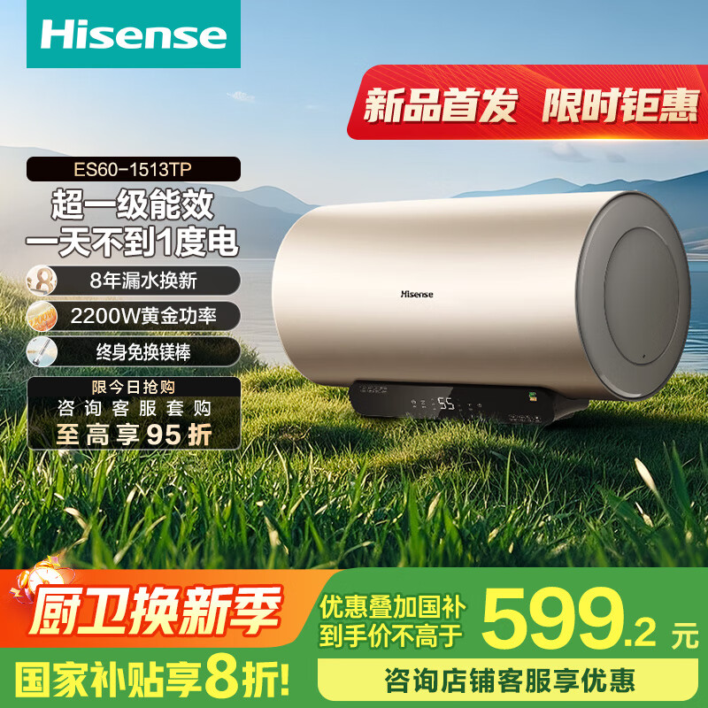 海信（Hisense）2200W节能6倍增容免换镁棒60升家用电热水器出租房双重安全防护一级能效ES60-W1513TP国家补贴20%