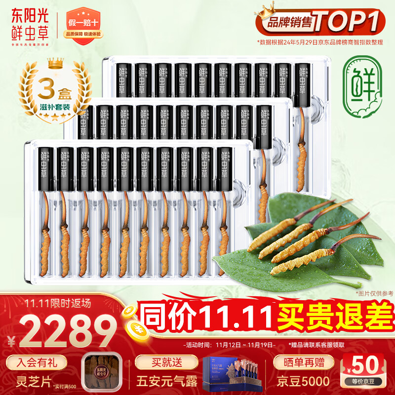 东阳光鲜虫草0.4-0.6g/根30根冬虫夏草滋补品送长辈老人源头直发包邮
