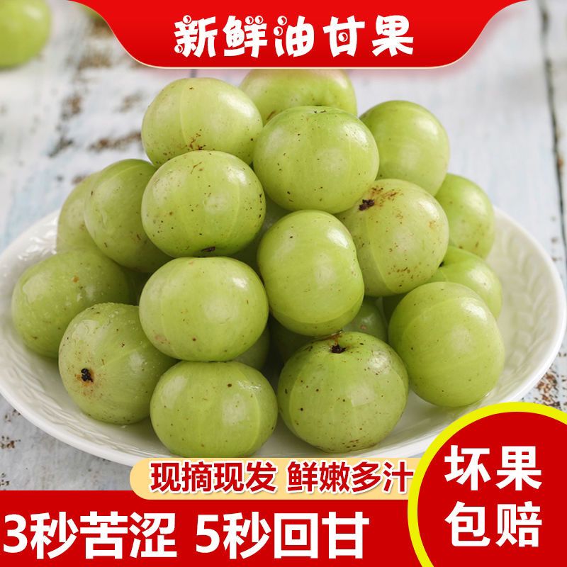 潮汕饼甜油柑果余甘果新鲜赤皮油柑孕妇水果滇橄榄油甘子泡酒果子 1斤 入口酸涩回甘