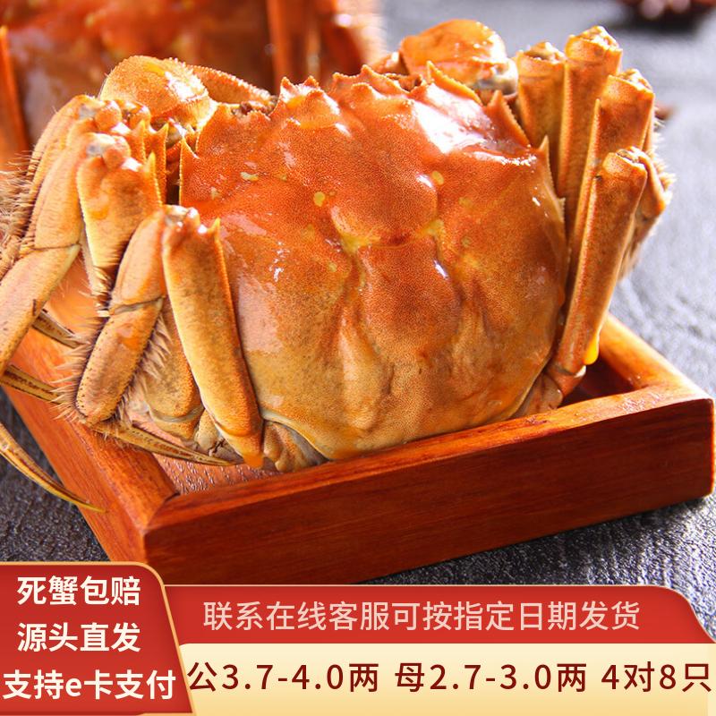 ˮ���� �����բз�ʻ��з ��3.7-4.0�� ĸ2.7-3.0�� 4��8ֻװ 149Ԫ(����ȯ)