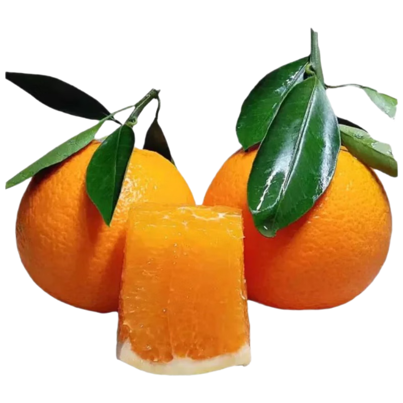 ������ ������������Ⱦ��º���� 4.5�� ����150g Ӧ��ˮ��Դͷֱ�� ���� 7.9Ԫ(����ȯ)