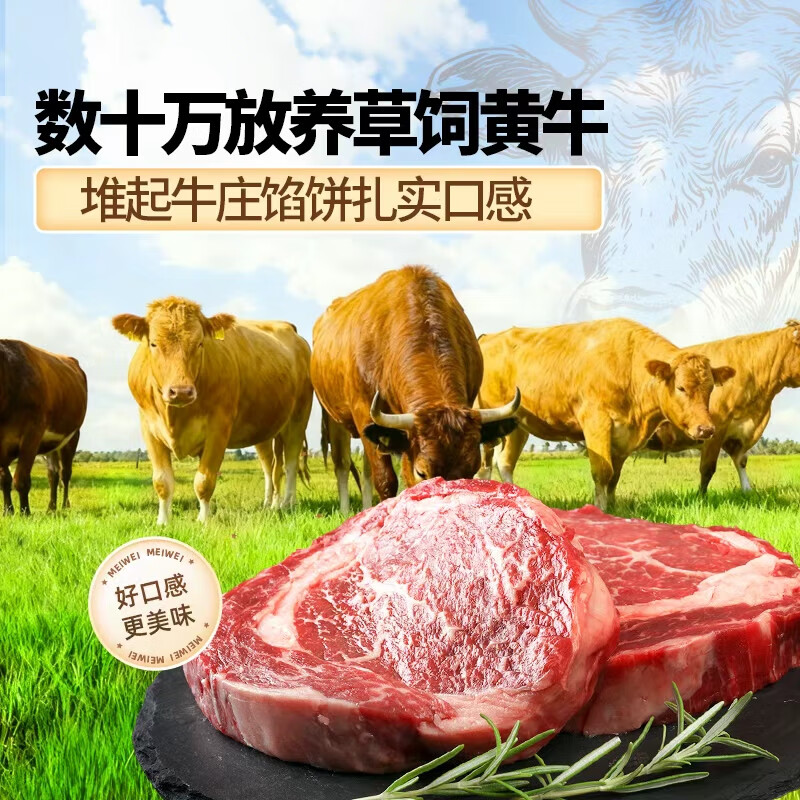 老扎家牛庄馅饼早餐速食半成品懒人速冻食品手抓饼煎饼东北特产礼盒 牛肉圆葱礼盒（90g*20张）