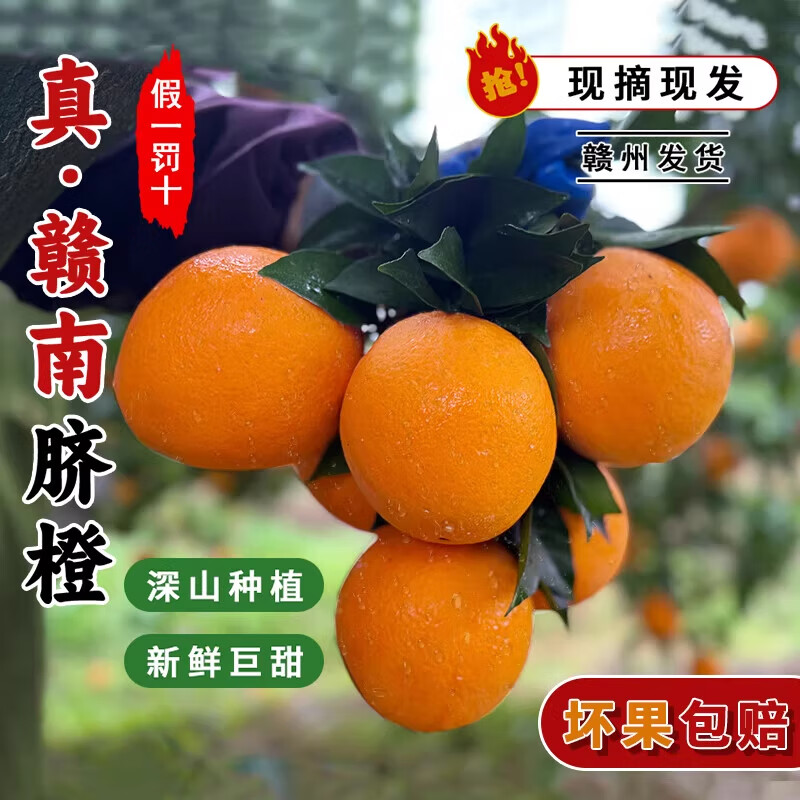 果当爱江西正宗赣南脐橙【源头直发】新鲜孕妇水果手剥甜橙香甜多汁现摘 净重8斤【单果100克-150克】