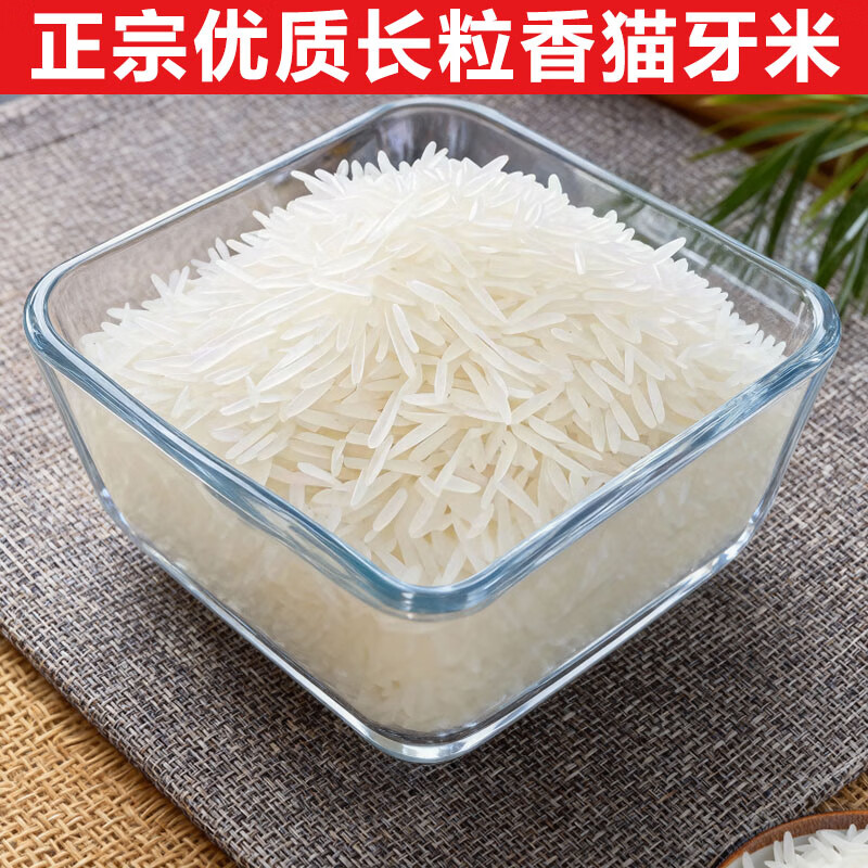 南方猫牙米20斤家庭装10斤长粒香大米一年一季2025年新米煲粥5斤 【晚稻米】鲜米猫牙米500g