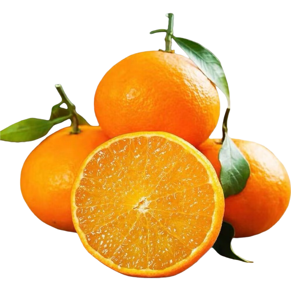 ����38�� ������ �����������Ӹ��� ����֭ ����2�� 6.9Ԫ