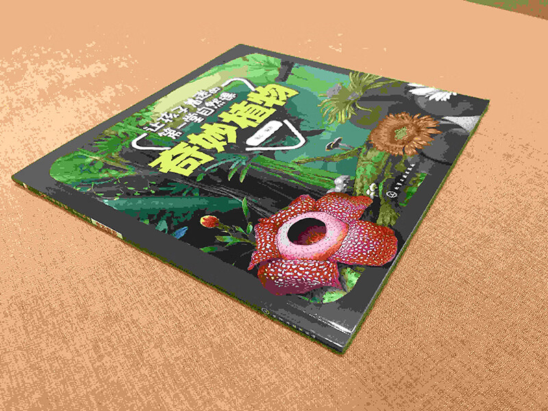 让孩子着迷的第一堂自然课——奇妙植物