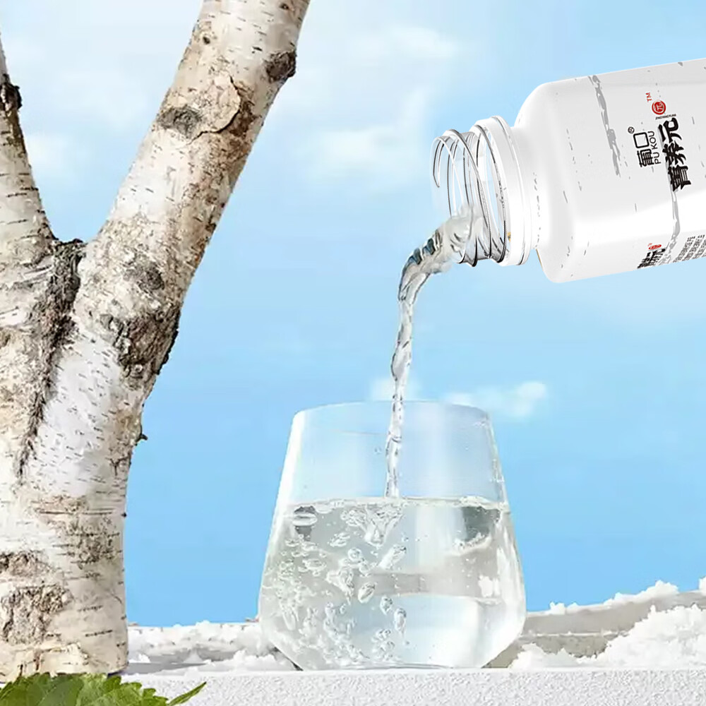 葡口100%白桦树汁原液天然NFC植物饮料大兴安岭0卡0脂肪解腻聚会送礼 【238ml*10瓶】小包装易携带 日期新鲜破损包赔