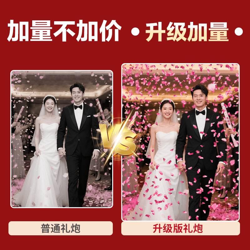 花瓣雨结婚礼炮礼花筒手持爱情公寓同款婚庆彩带喷花筒婚礼拍照 红色花瓣雨10根【花瓣升级加量】