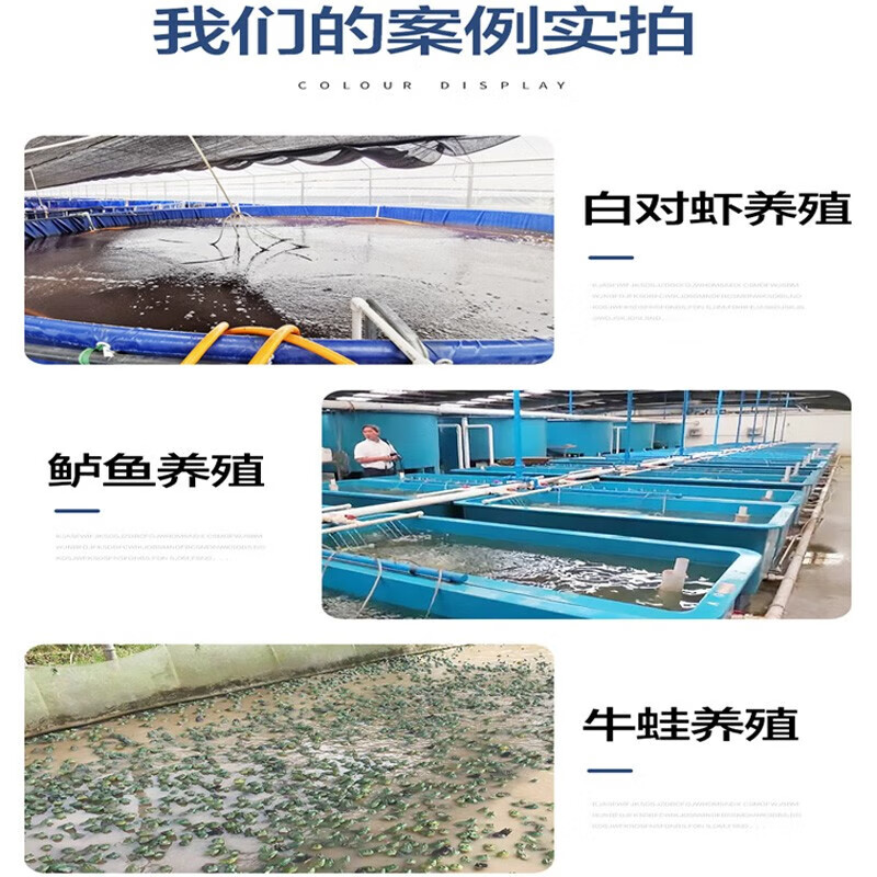 渔师傅锦鲤鱼池水池白对虾鲈鱼水产养殖大功率加热棒鱼缸海鲜池加温棒器 统一都带有漏电保护0-99度可调