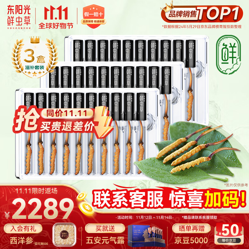 东阳光鲜虫草0.4-0.6g/根30根冬虫夏草滋补品送长辈老人源头直发包邮