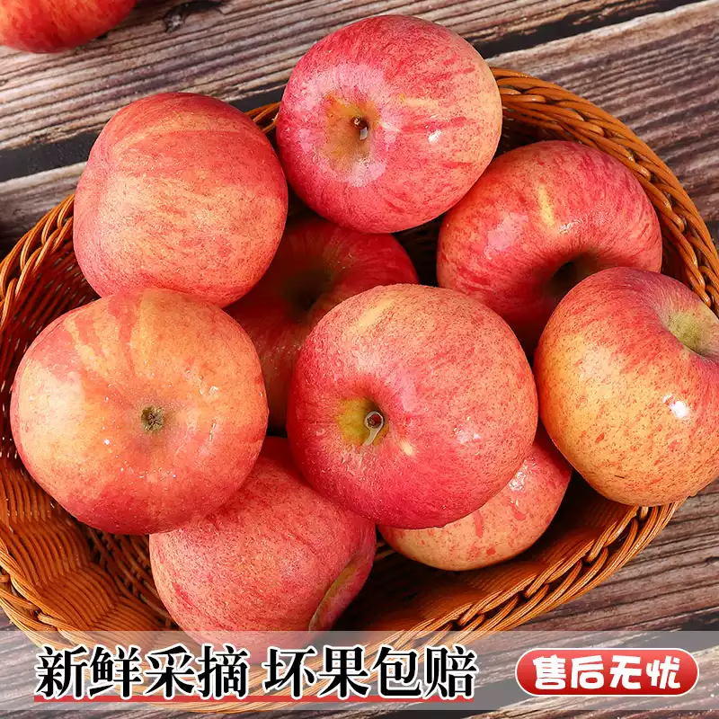 正宗运城红富士苹果带箱5斤