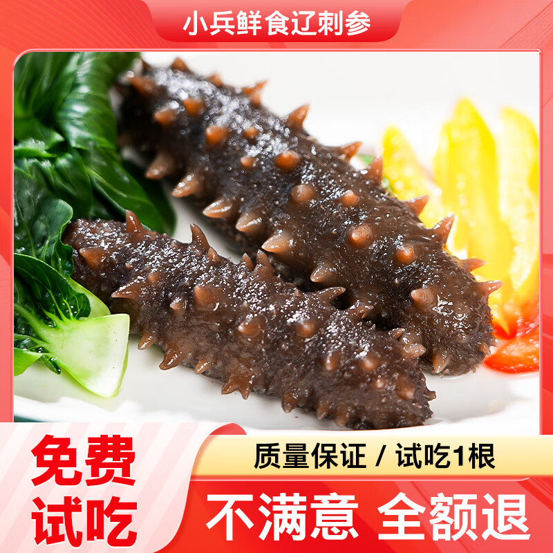 小兵海参【年终特惠】即食海参鲜食海参辽刺参免泡发独立包装开袋即食 【单袋降100元】到手1袋 10-12只/斤