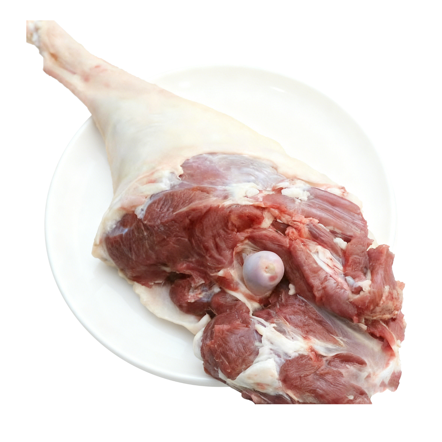 ���ڲ�����Ȥ���ʹ�����ɽ��ɽ���Ƥ����� ����5�� ��Ƥ�����ɽɢ��Դͷֱ�� 289Ԫ