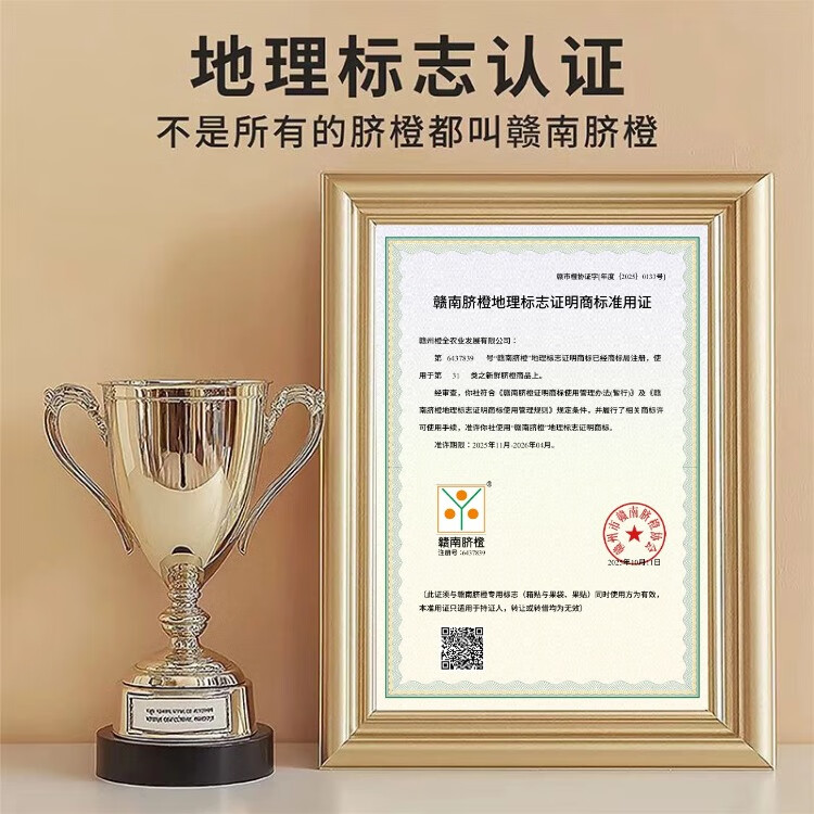 （精品果）赣南脐橙 橙子 正宗江西赣州直发 新鲜采摘 送货上门A 带箱10斤 直径70-80mm