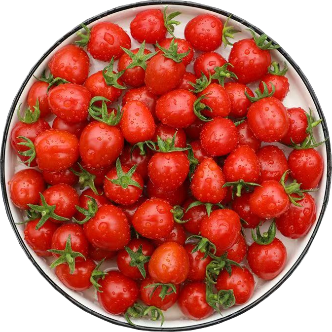 ����ʥŮ�� ��ɫС���� ӣ��С���� ����2�� 2.86Ԫ