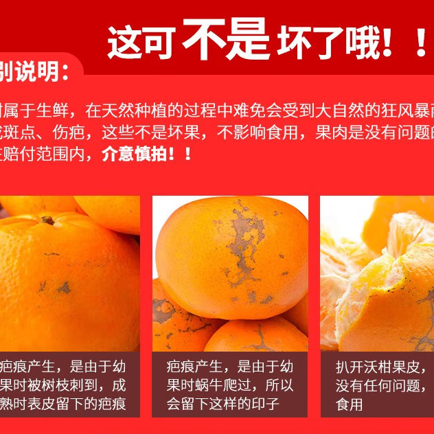 鲜宝道广西现摘沃柑当季新鲜水果 花皮 酸甜 口感lz 5斤中果60-70mm净重4.5