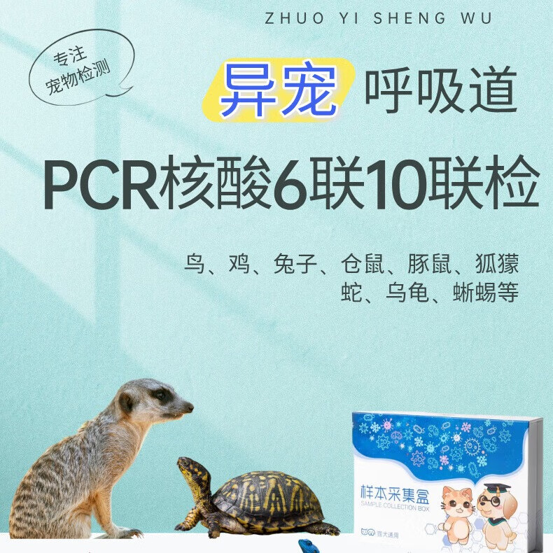 异宠呼吸道/消化道PCR检测肠道细菌真菌寄生虫测居家取样送检 异宠消化道16联 1支*1支
