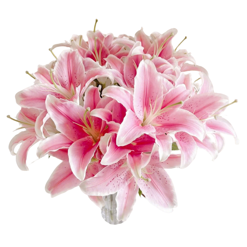 12朵百合随机色鲜花情人节节日生日礼物源头直发