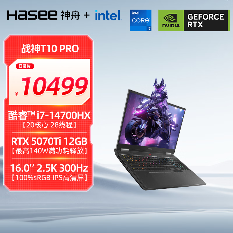 神舟（HASEE）【国家补贴20% RTX5070Ti】战神T10 Pro 16英寸游戏本笔记本电脑(i7-14700HX 32G 1TB 2.5K 300Hz)