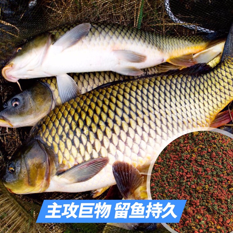 钓鱼王四季鱼饵鲤鱼饵套餐野钓鱼饵鲫鲤鱼配方饵料还用对其它的不？