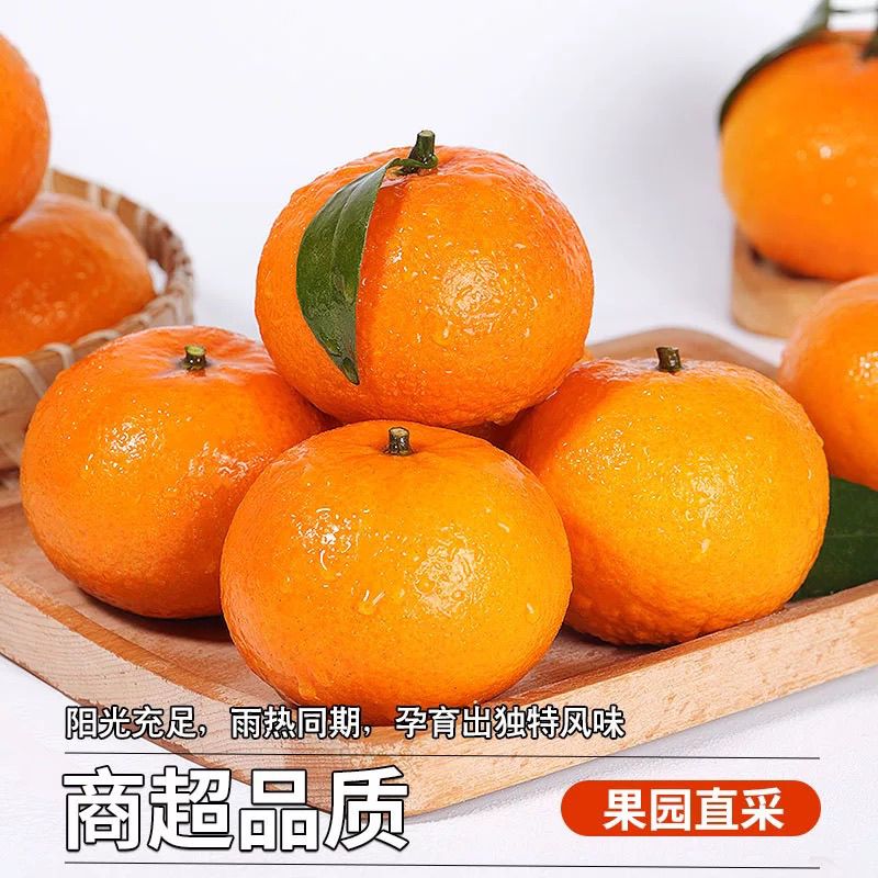 正宗广西武鸣沃柑蜜橘柑橘桔子橘子新鲜水果当季整箱源头直发 净重8.8-9斤小果【60-65mm】