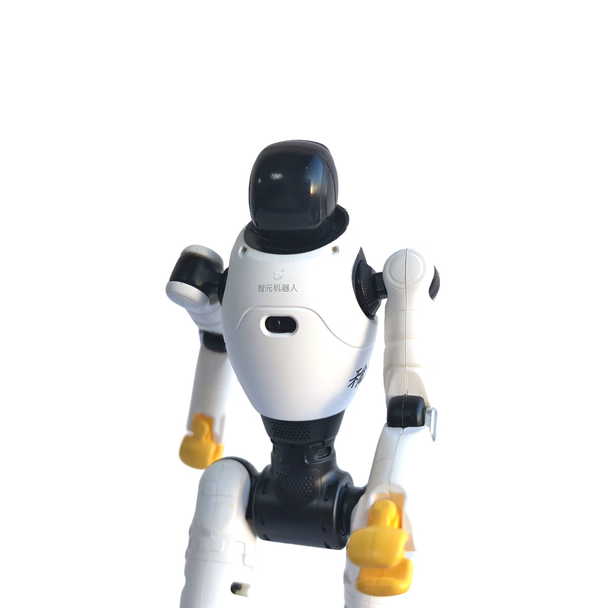 ��Ԫ������AGIBOT �ٷ���ϬX2������ģ�� ���;�ӡˢ��ǩ��������ż�ڼ� 