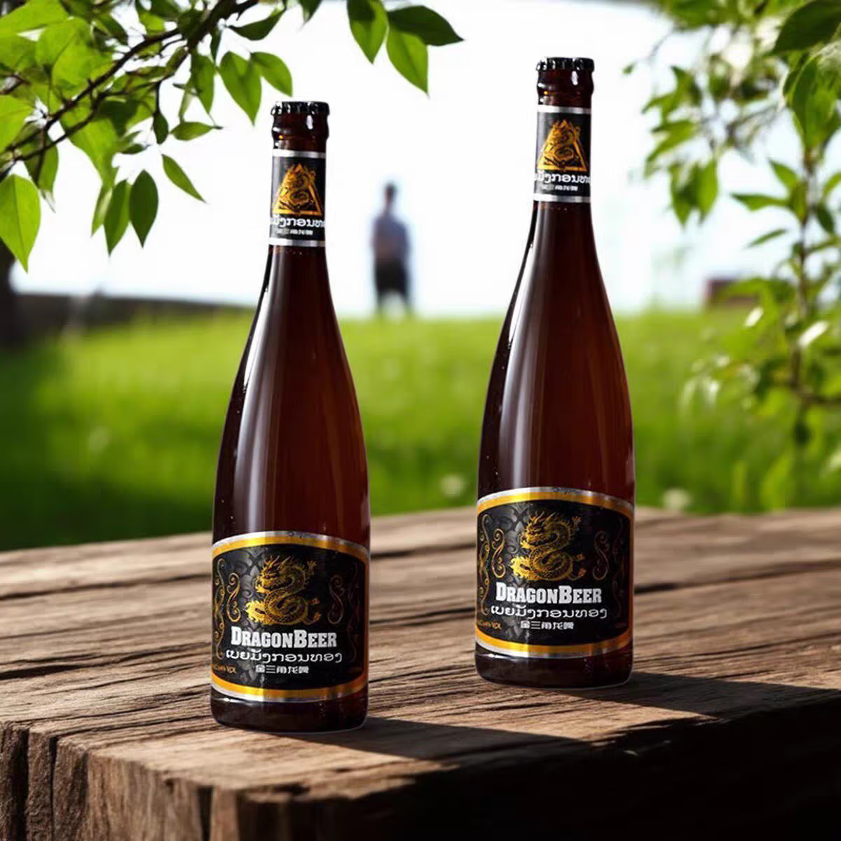金三角龙啤1箱精酿啤酒整箱 包邮 500ml 12瓶整箱 正宗老挝龙啤 玻璃瓶黄啤 500mL 12瓶 整箱装