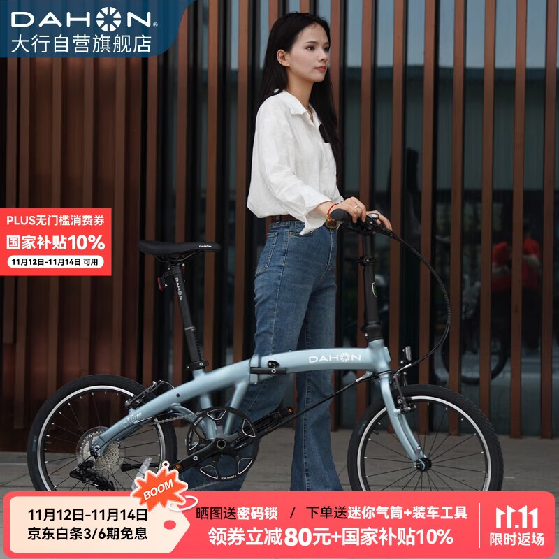 大行（DAHON）P10折叠自行车20英寸10速铝合金成人通勤V刹 PAA003 消光灰蓝