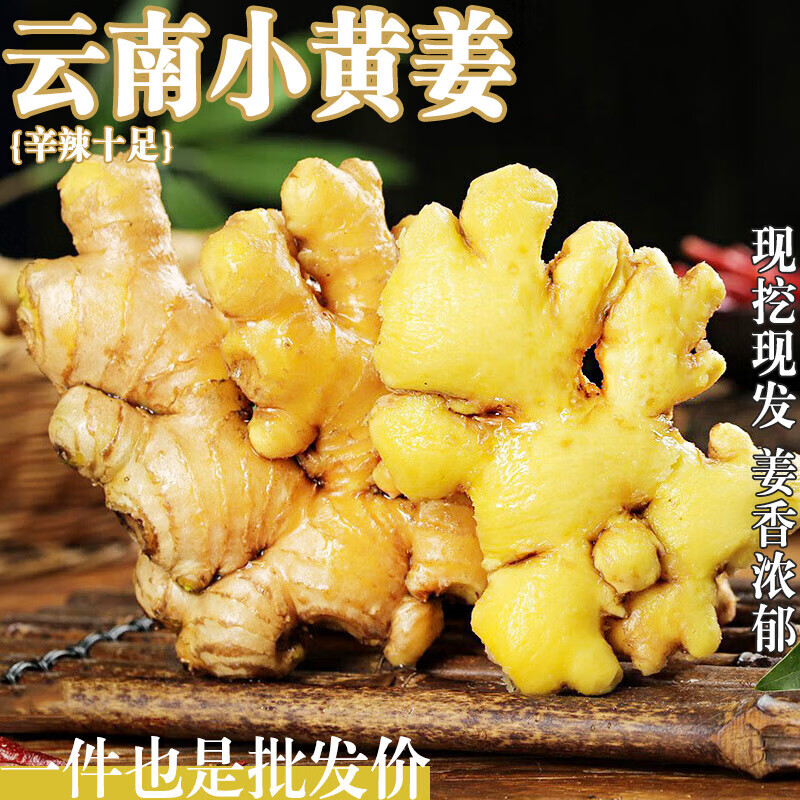 正宗云南小黄姜新鲜生姜现挖老姜土姜月子姜高山沙姜辛辣整姜包邮 精选-小黄姜【净重4.5斤】辛辣十足