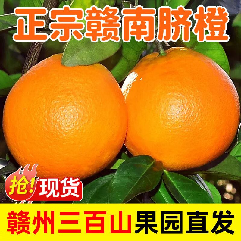 赣南脐橙正宗江西赣南脐橙产地直发孕妇应季水果新鲜橙子赣州现摘整箱发货 10斤装(净重9斤) 80-90mm【推荐大果】