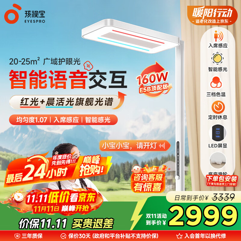 孩视灯家用落地大路灯E5-160W-R