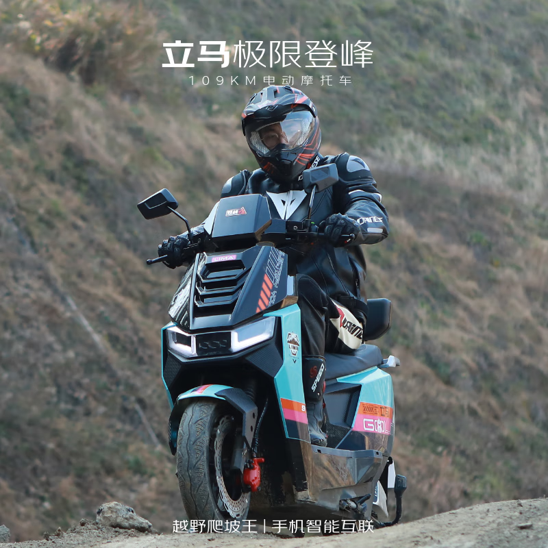 立马电动摩托车【CCTV大国品牌】极限登峰高速续航109KM超强劲电机72V38Ah铅酸电池智能电动车 星极绿