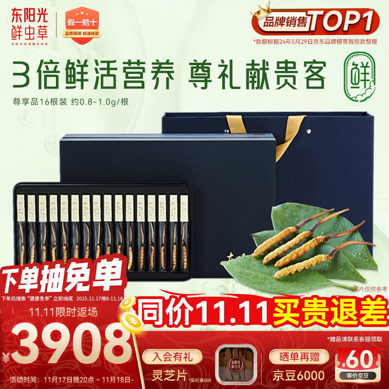 东阳光鲜虫草0.8-1g/根16根新鲜冬虫夏草补品送长辈老人源头直发包邮