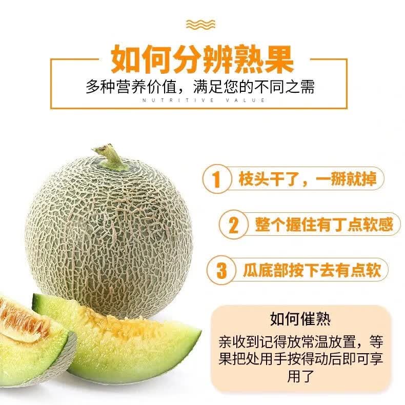 译蒙之味【顺丰】海南玫珑网纹蜜瓜新鲜网纹瓜孕妇当季口口蜜冰淇淋甜瓜 净重5-5.5斤【2枚礼盒装】顺丰