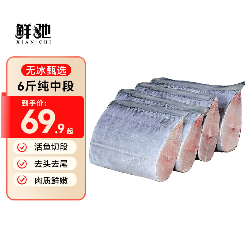鲜驰 带鱼 新鲜冷冻刀鱼中段大号东海小眼深海鱼鲜活海鲜固形物≥80％ 纯中段 净重6斤【约4cm】