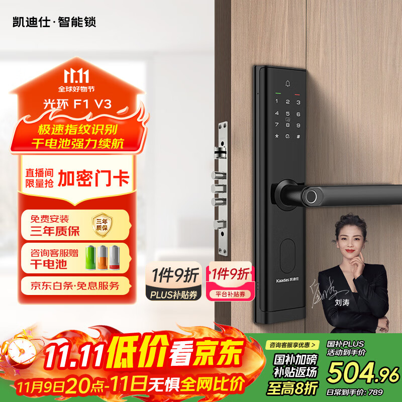 ˣkaadas ָʶ  ⻷F1V3 376.54Ԫ