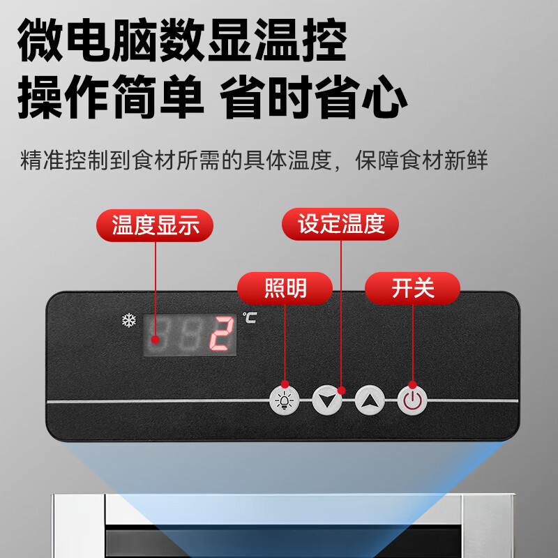 雪花展示柜蔬菜水果保鲜柜全钢全铜冰柜双开门三门商用四门六门超市饭店火锅串串立式冷冻冷藏冰箱 风冷系列丨大二门-风冷无霜丨全冷藏