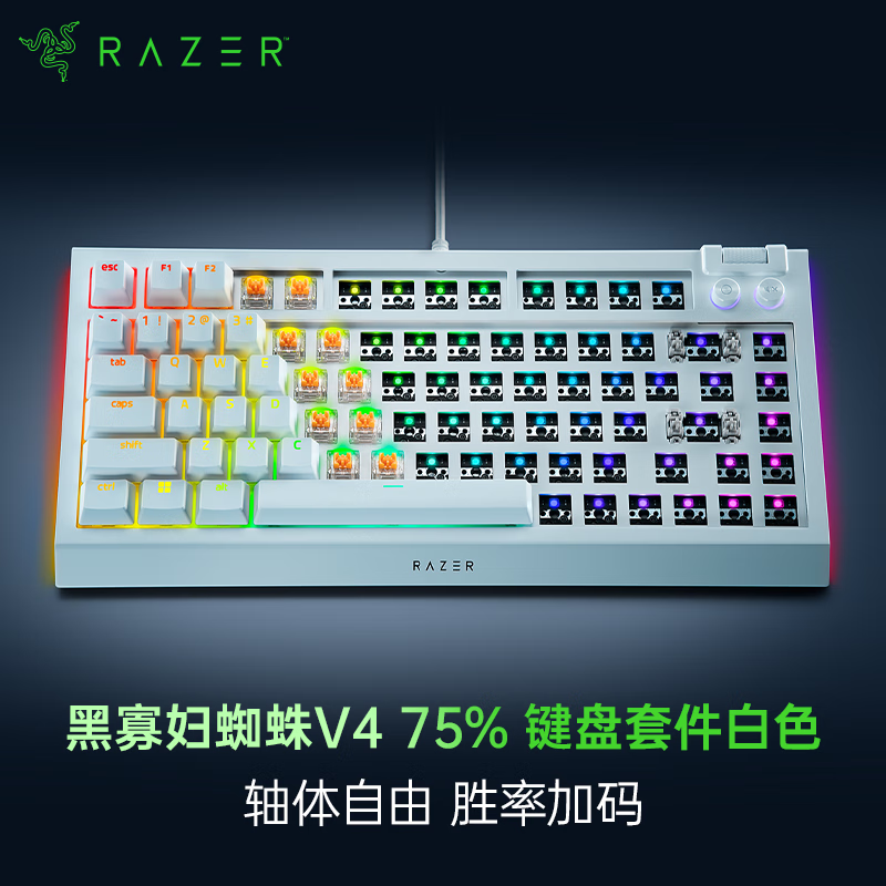 雷蛇（Razer）黑寡妇蜘蛛V4-75%热插拔 白色 GASKET结构 RGB幻彩灯效 DIY外设 客制化 机械键盘