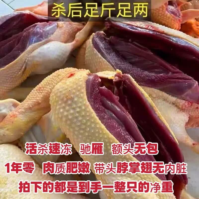 【整只带头爪翅】大雁鹅新鲜现杀农家散养笨雁鹅整只肉批发 杀后8.5-9.5斤净重（推荐）送料包 肉质鲜美-肥而不腻-超大一整只