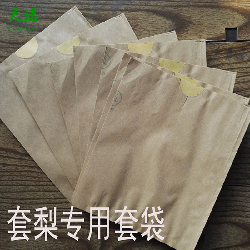 以琛 套梨专用套袋梨套袋果袋防水防虫防病害丰水梨黄金梨专用袋梨用