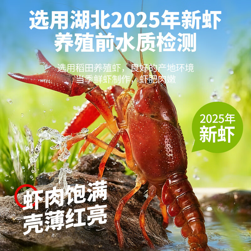 baoqi潜江小龙虾生鲜活麻辣蒜蓉油焖大虾新虾加热即食火锅烧烤食材 礼盒装7.2斤四盒麻辣小龙虾送2盒田螺