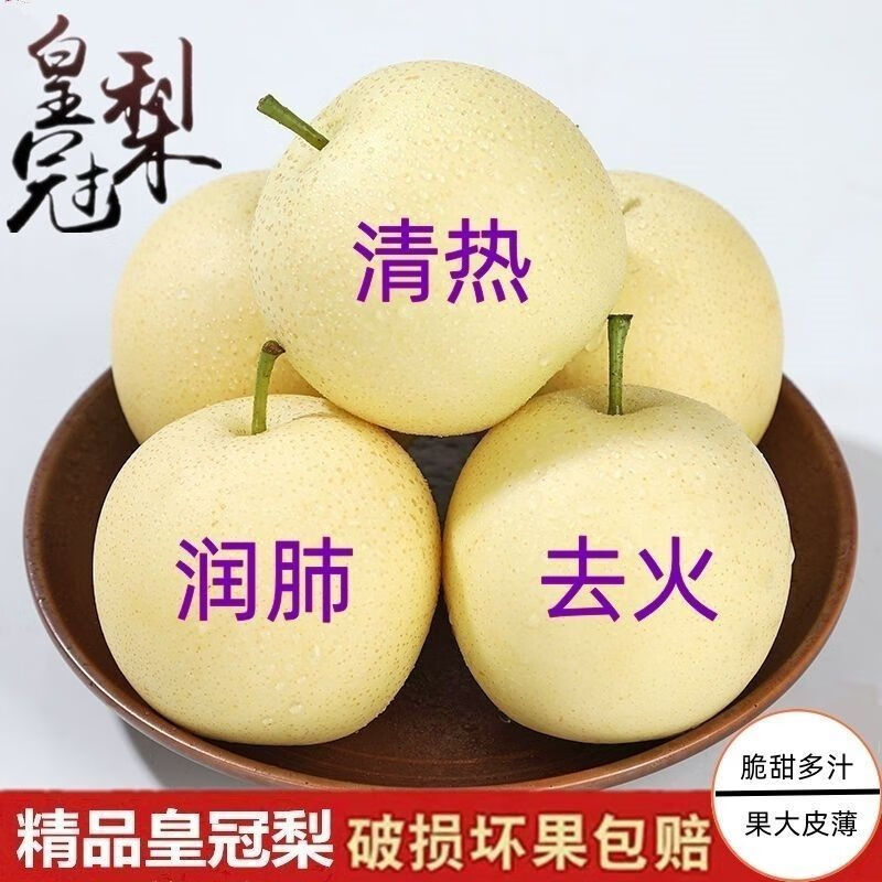 喜酷橙河北皇冠应季梨子薄皮新鲜水果当季雪梨酥梨 9斤