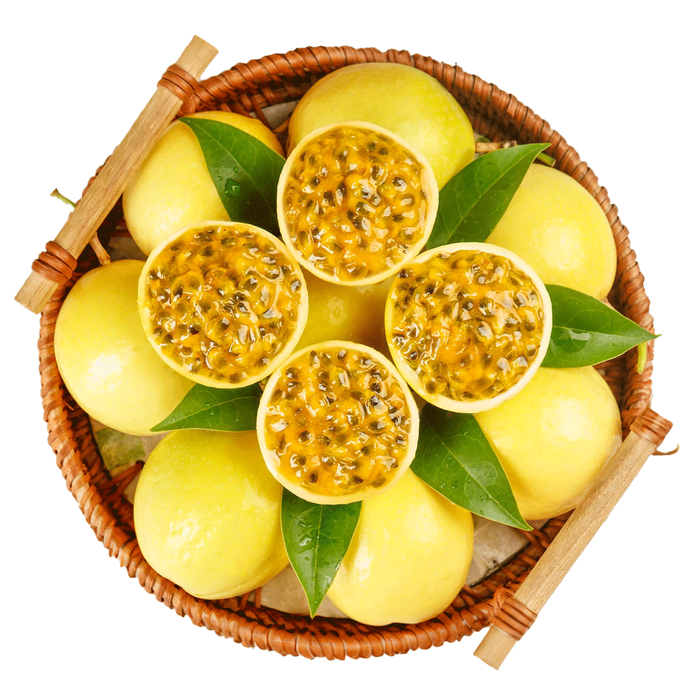 ���� �ƽ����� 3��(����60-70g)