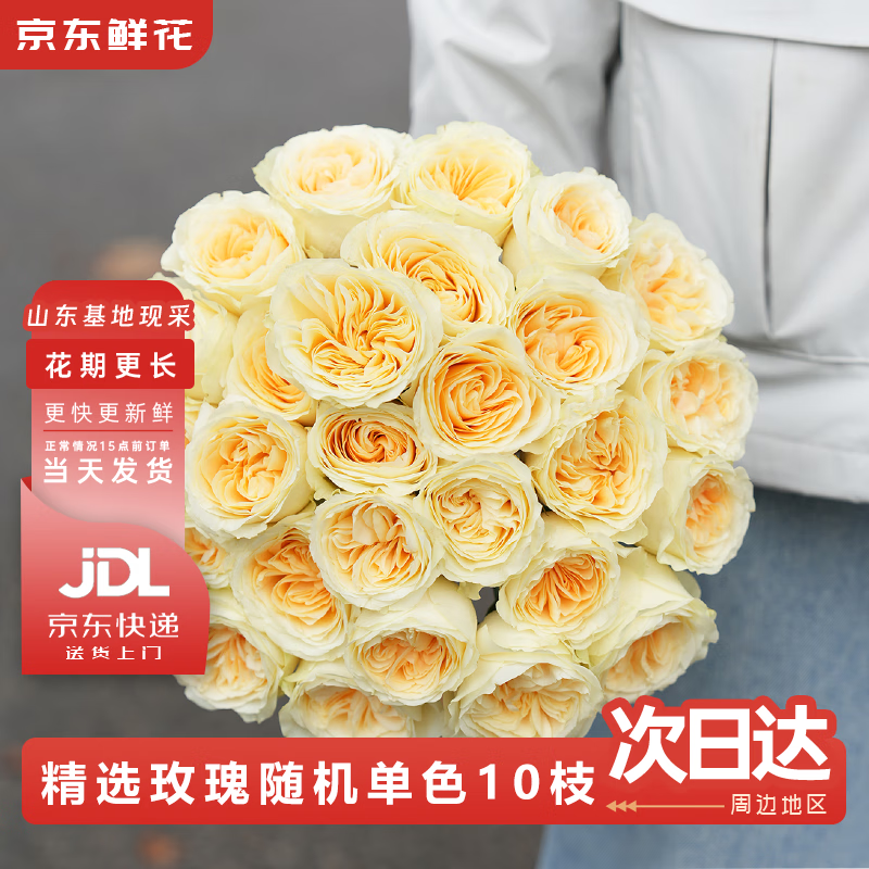 京东鲜花玫瑰花鲜花随机颜色10枝玫瑰家庭插花鲜花山东基地源头直发