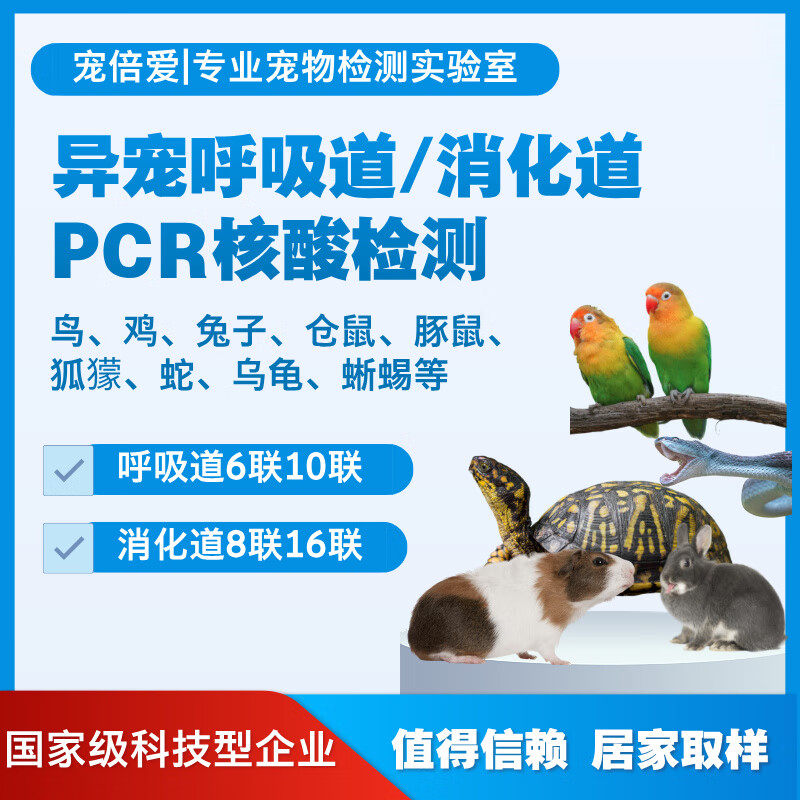 异宠呼吸道/消化道PCR检测肠道细菌真菌寄生虫测居家取样送检 异宠消化道16联 1支*1支 京东折扣/优惠券