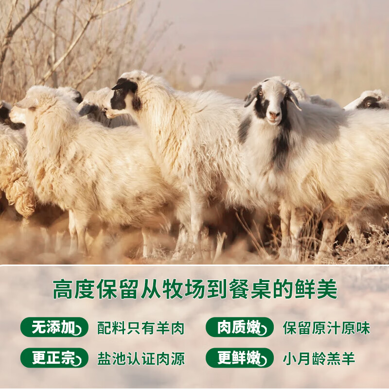 天肴港宁夏盐池滩羊清真生鲜羊肉整半只羊食材火锅烧烤食材直发 【小家庭尝鲜装】盐池滩羊 4 斤