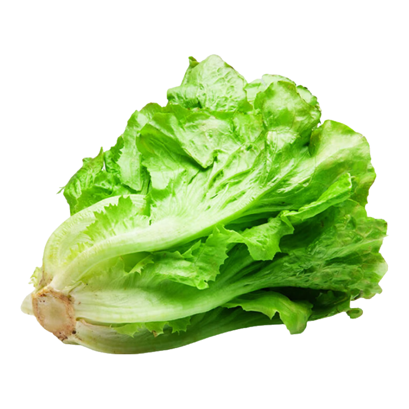 ����� �ͳ�̦�������� �����ͺ� �ļ��� ��̨�߲� 1��Լ1000�� 1.01Ԫ