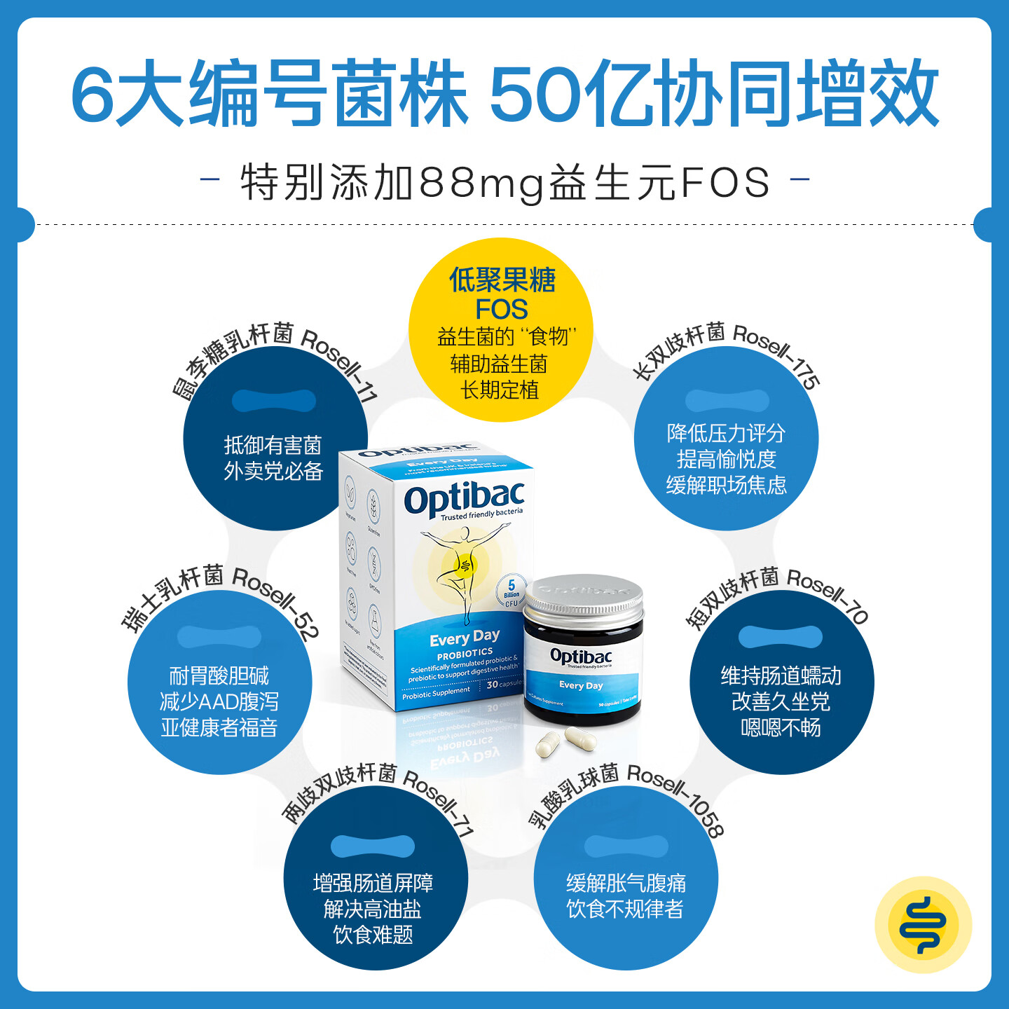 OptiBac欧贝客每日益生菌基础版进口益生元调理焦虑压力菌群送礼长辈父母 【守护肠胃健康】30粒/3盒