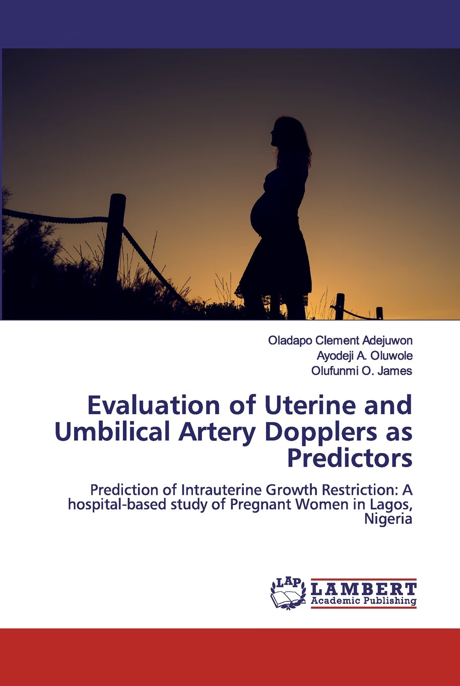 【预售 按需印刷】evaluation of uterine and umbilical artery